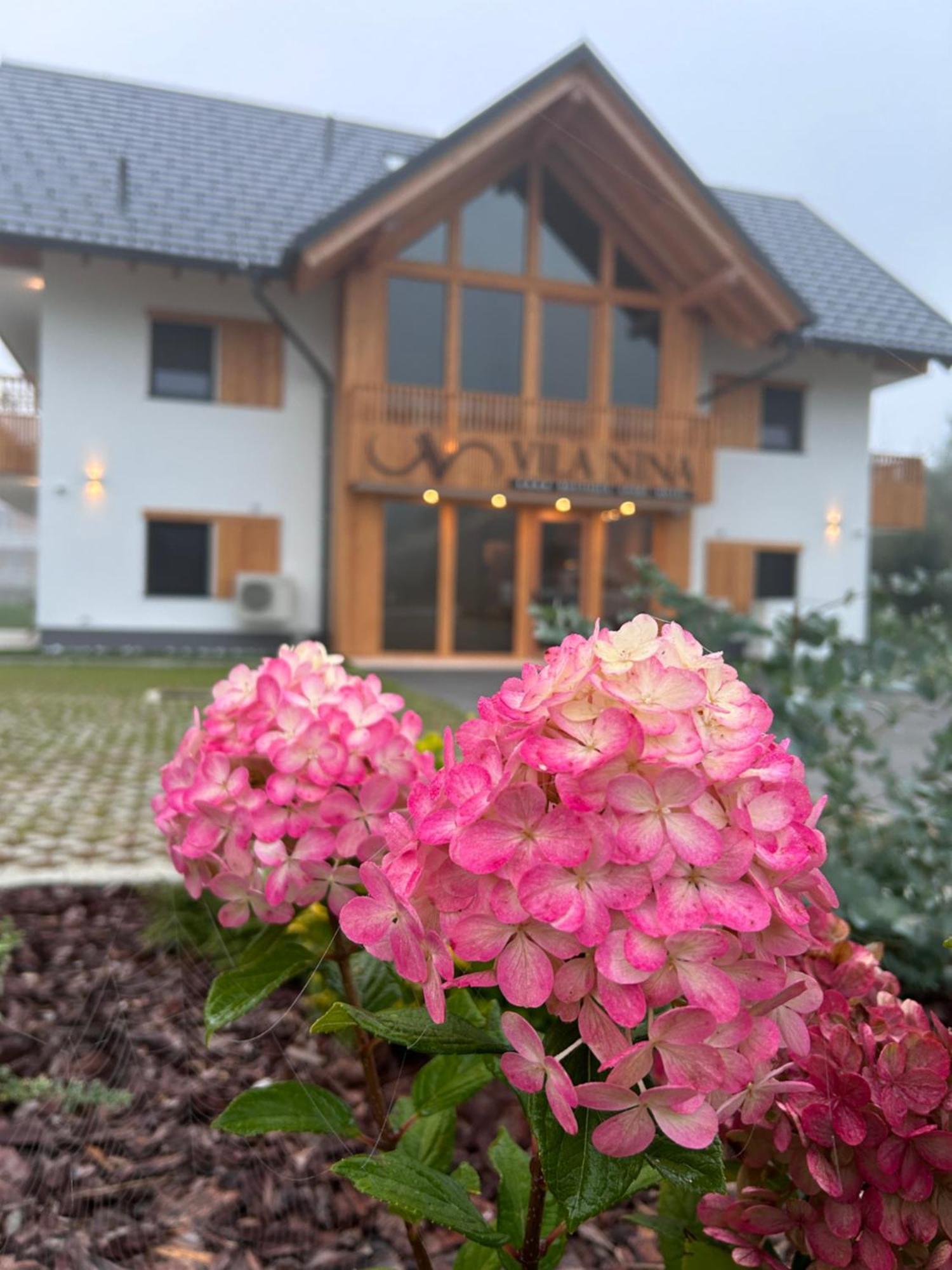 Vila Nina Bohinj Dış mekan fotoğraf