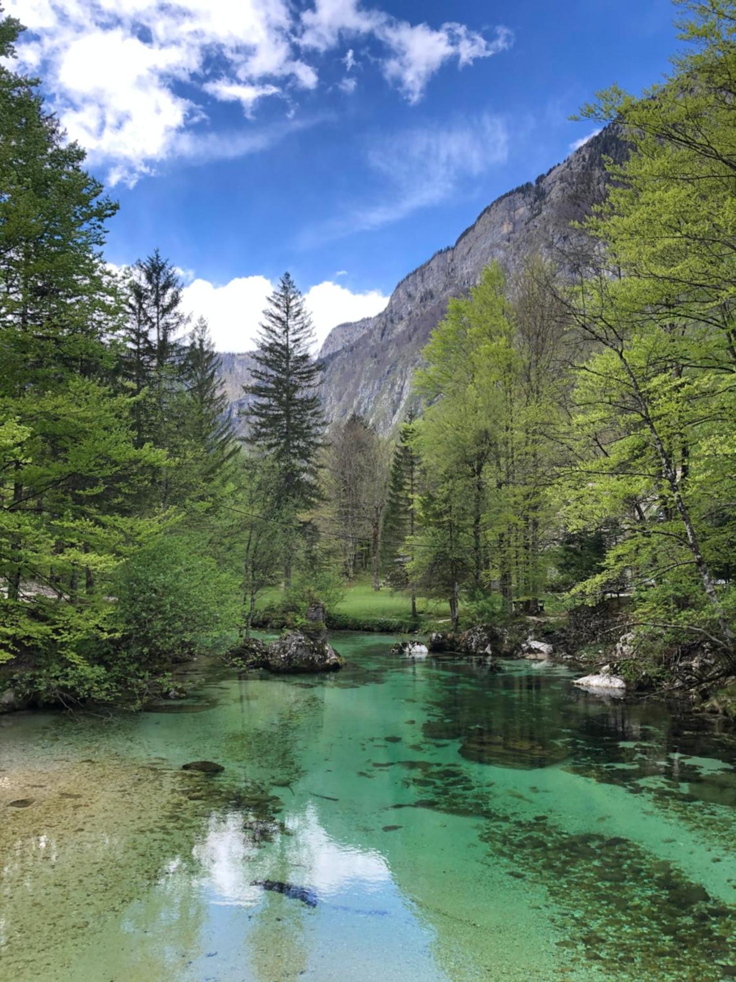 Vila Nina Bohinj Dış mekan fotoğraf